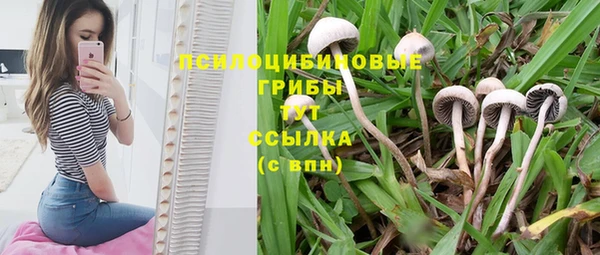 скорость mdpv Заволжье